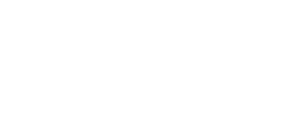 zenit nutrition